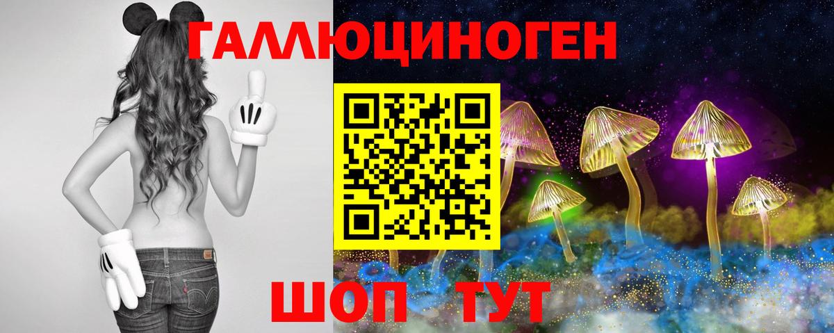 Галлюциногенные грибы MAGIC MUSHROOMS  Вход с VPN  Чапаевск  Галлюциногенные грибы GOLDEN TEACHER 